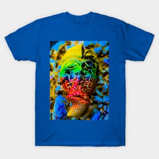 An aslant multicolored Bali face mask T-Shirt